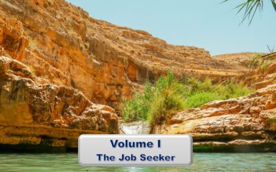 The Mirage Volume I – The Job Seeking Journey