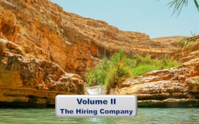 The Mirage Volume II – Online Hiring and Job Sites