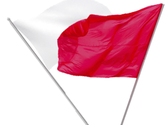 Raising Red Flags is Raising the White Flag in a Job Interview